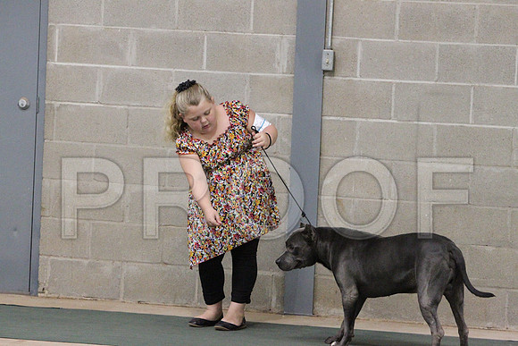 JuniorCCL_1365LR