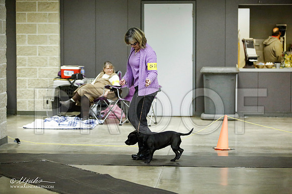 _JJ_6003-BeltonJan2015IABCA-HR3