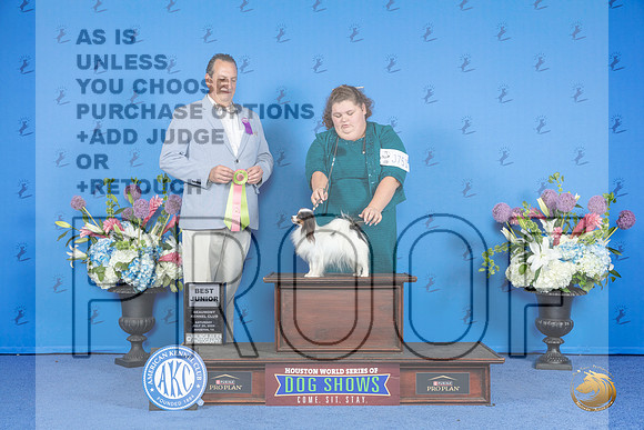 Papillon #J751 SAT BJH Judge Robert Chaffin__JP_0002_Houston_2024_HR3