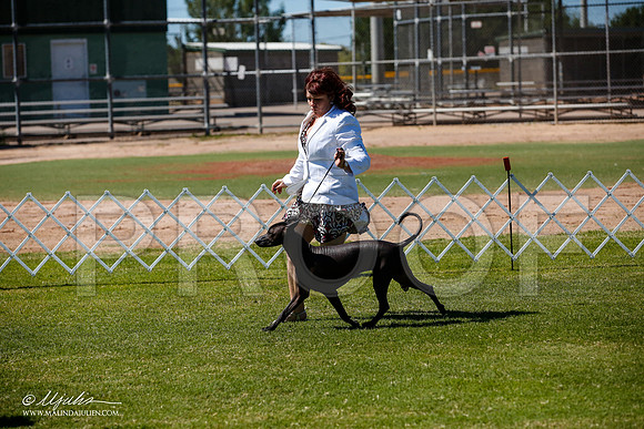 _JJ_8286-AlamogordoOct2014-HR3