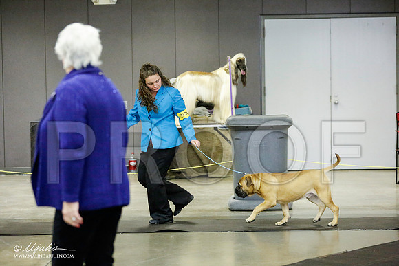 _RH_1532-BeltonJan2015IABCA-HR3