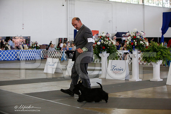 _JJ_2350-DallasJul2014-HR3