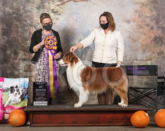 Aussie #19 Thurs ASCA Breed Judge Felicity Trammell__SR_4438_UKCBelton2020_HR3