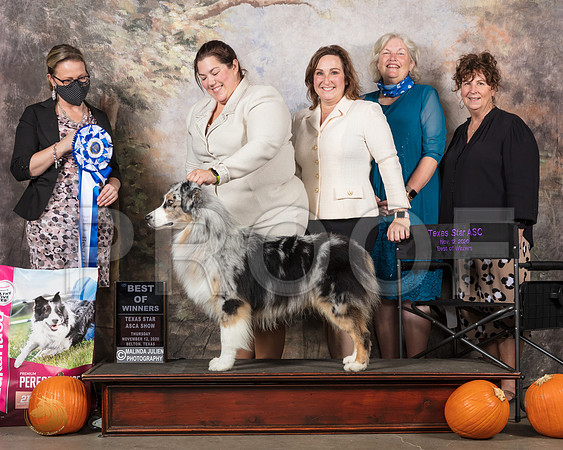 Australian Shepherd #11 BOW Judge Felicity Trammell__SR_4465_UKCBelton2020_HR3