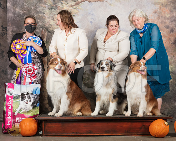 Australian Shepherd #11 BOW Judge Felicity Trammell__SR_4467_UKCBelton2020_HR3