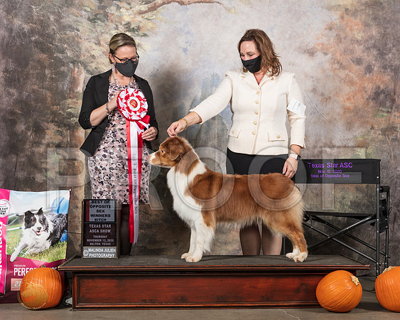 Australian Shepherd #16 Thurs WB BOS Judge Felicity Trammell__SR_4453_UKCBelton2020_HR3