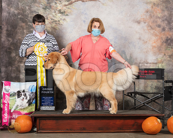 Golden Retriever #132 Thurs G4 Judge Linda Reese__SR_4331_UKCBelton2020_HR3