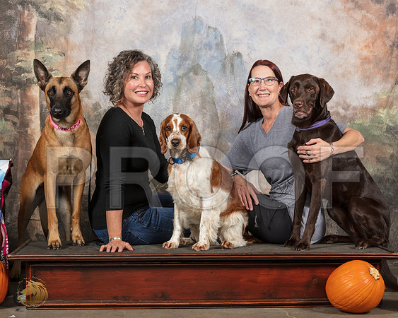 Belgian Malinois English Springer Lab Caroline Oldham__SR_4648_UKCBelton2020_HR3