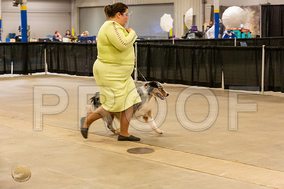Australian Shepherd #125 Fri S2_JJL_0997_UKCBelton2020_HR3
