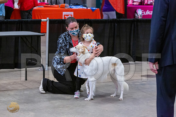 Silken Windhound Junior Sat Ring_JJL_1483_UKCBelton2020_HR3
