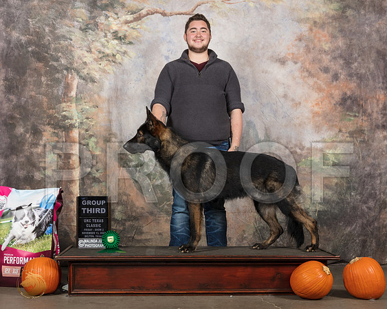 German Shepherd Dog #287 Fri2 Judge Rolland Pelland__SR_4766_UKCBelton2020_HR3