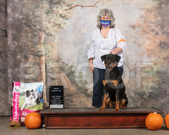 Rottweiler #204 Sun Ch__SR_5038_UKCBelton2020_HR3