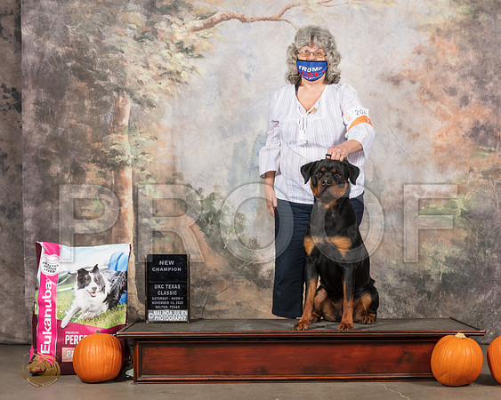 Rottweiler #204 Sun Ch__SR_5040_UKCBelton2020_HR3