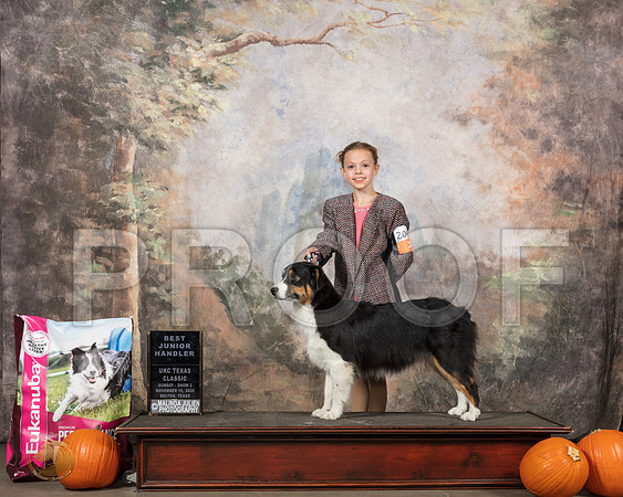 Australian Shepherd #209 Sat__SR_5336_UKCBelton2020_HR3