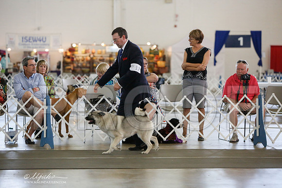 _JJ_2799-DallasJul2014-HR3