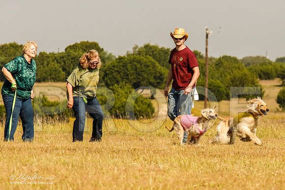 _MJ_4454-AfgBeltonOct2014-HR3