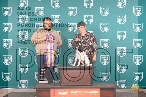 Smooth Fox Terrier # Sat BIS Judge William Chrazanowski__JP_2131_UKCEastern_2024_HR3