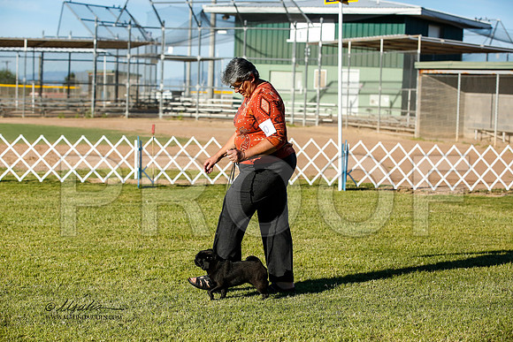 _JN_0214-AlamogordoOct2014-HR3