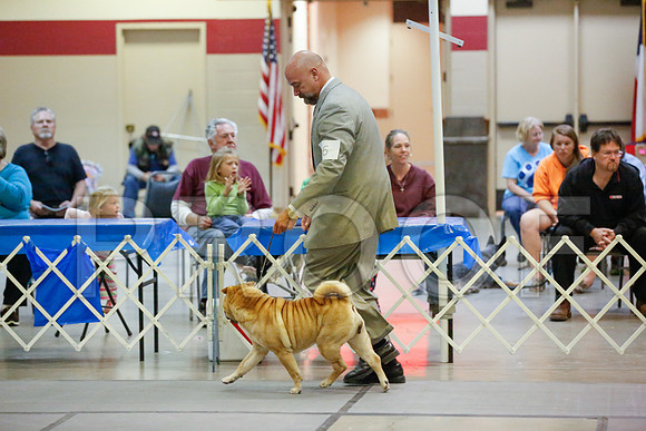 _JJ_0067-AmarilloSept2014-HR3