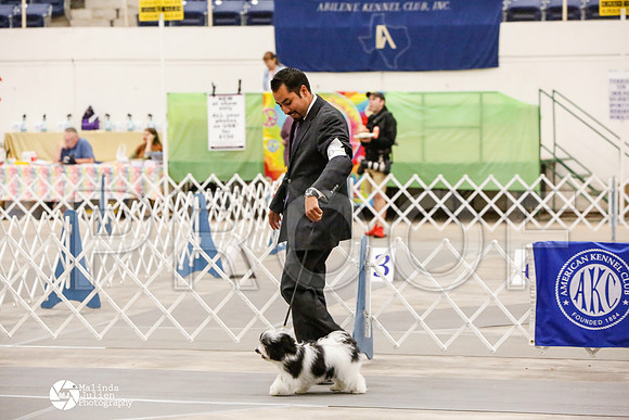 _CK_8842-AblnMay2014-web