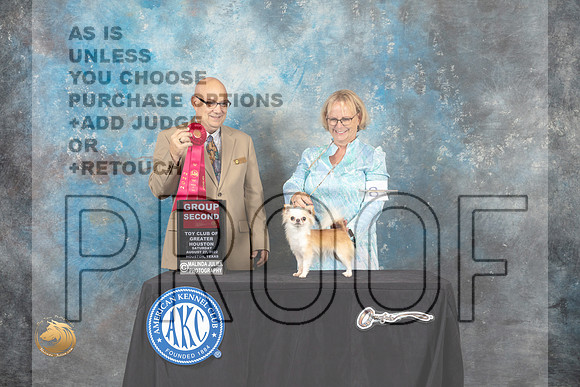 Chihuahua Long Coat #8 Sat G2 Judge Bradley Jenkins_MJ_0306_HstnTOY_2022_HR3
