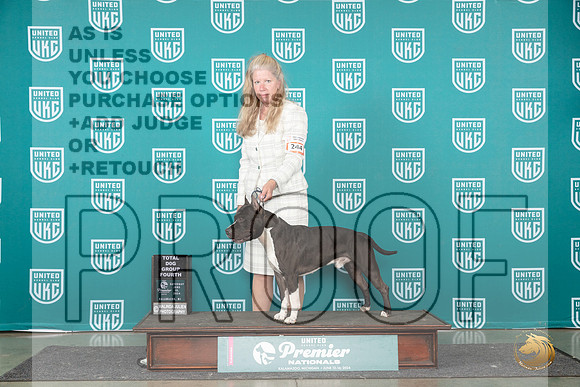 American Pit Bull Terrier #244 Sat TDG4 Judge Diane Price__JP_2661_Premier_2024_HR3