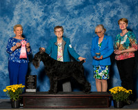 Giant Schnauzers #12 Fri BOBV Susedik Erma Lou Trish Simmons Judge Mrs Rita Holloway