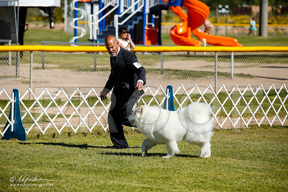 _JJ_9942-AlamogordoOct2014-HR3