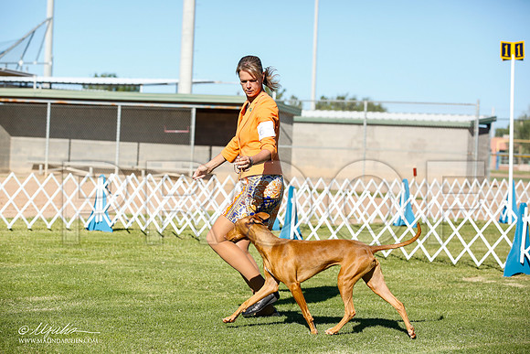 _JN_5700-AlamogordoOct2014-HR3
