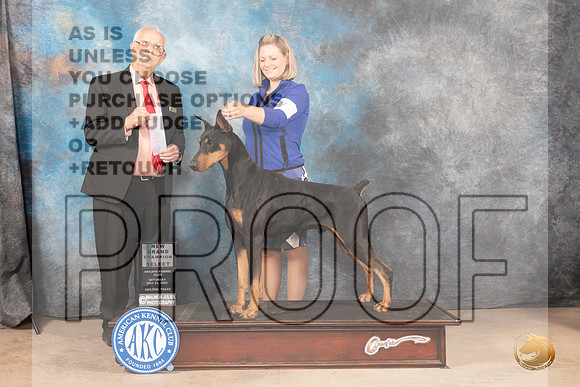 Doberman Pinscher #7 Sat SD Judge Thomas Stanfield Jr-MMJ_3655-Abilene2022-HR3