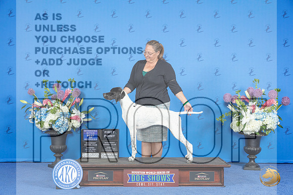 Pointer #6 SUN WB BOW Judge Sandra Lex__JP_0203_Houston_2024_HR3