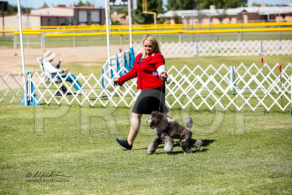 _JN_0995-AlamogordoOct2014-HR3