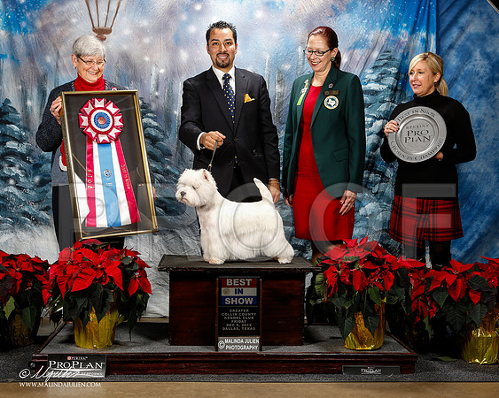 _ST_8393-2-DallasDec2014-HR3