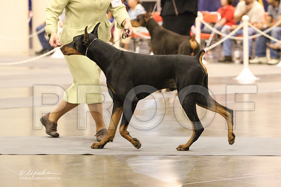 Dobe-1570 PROOF