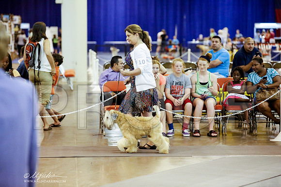 _JJ_6582-DalJul2014-HR3