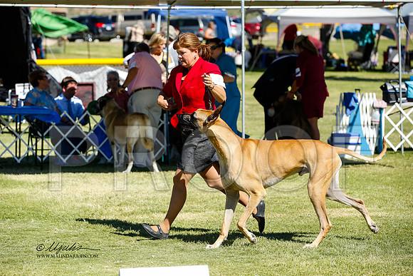 _JN_1231-AlamogordoOct2014-HR3
