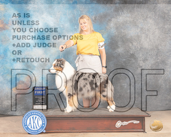 Australian Shepherd #27 Fri G1 Judge Eric Liebes-MMJ_3341-Addison2022-HR3