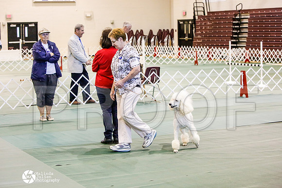 _JJ_4127-BsrCtyJun2014-HR3