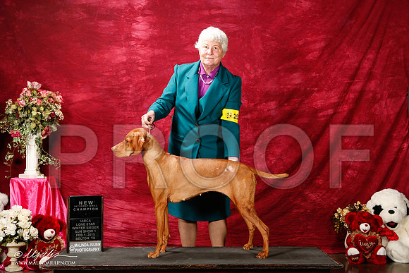 _ST_2912-2-BeltonJan2015IABCA-HR3