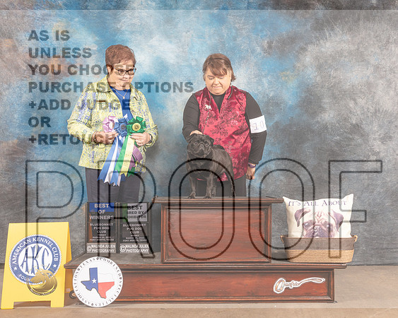 Pug #10 Fri BOW Judge Pam Peat-MMJ_7089-FW2022-HR3