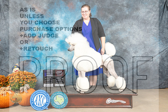 Poodle Std #11 Sat BOWOHBOB Judge Donelle Richards_MJ_5992_Belton_2022_HR3