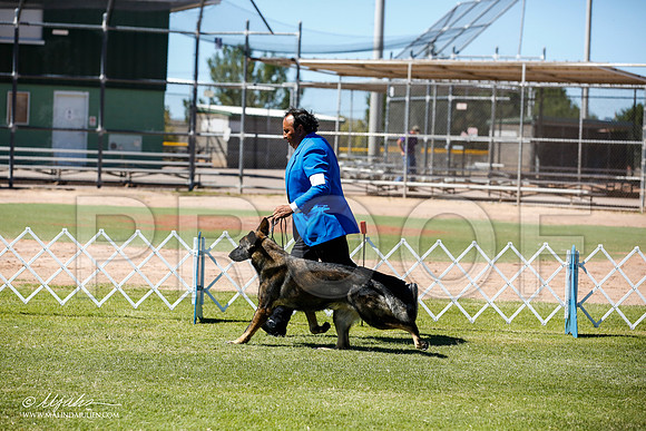 _JN_8947-AlamogordoOct2014-HR3