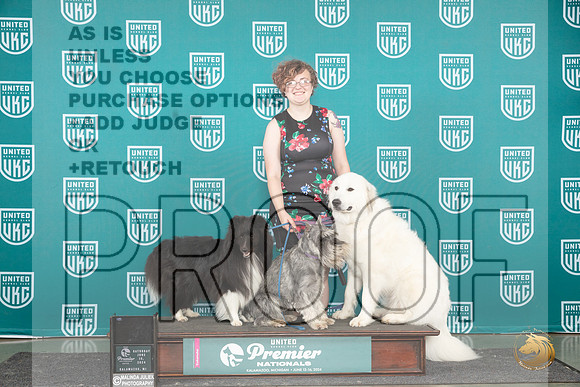 Sheltie GrPry Schn #613 Sat__JP_2971_Premier_2024_HR3