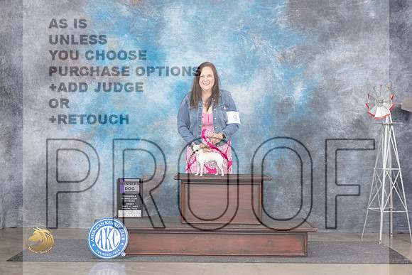 Chihuahua Smooth #9 Fri WD Judge Denise Dean__JP_5289_Amarillo_2024_HR3