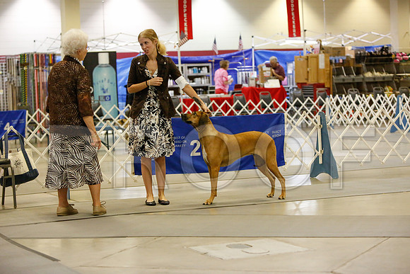 _JN_3128-AmarilloSept2014-HR3