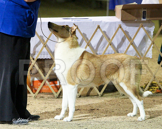 BPup-9460