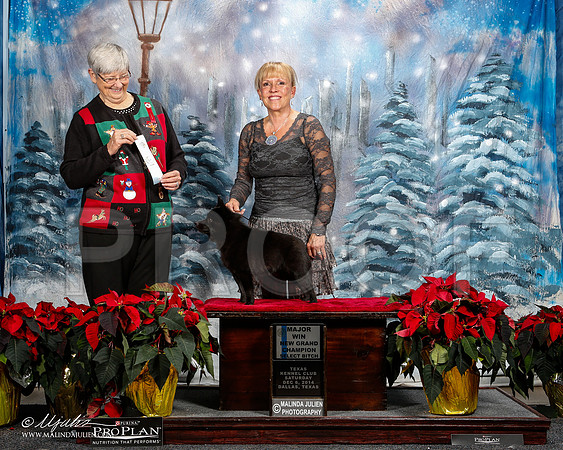 _ST_8519-2-DallasDec2014-HR3