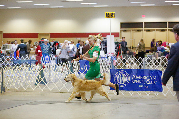 _JN_9376-AmarilloSept2014-HR3