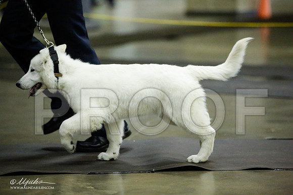 _JJ_6168-BeltonJan2015IABCA-HR3