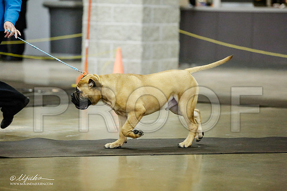 _RH_1538-BeltonJan2015IABCA-HR3